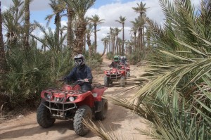 Quad biking through the Palmerie in Marrakech